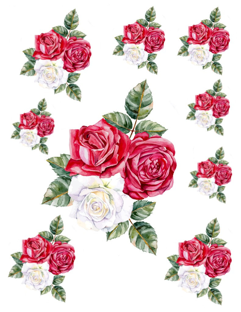 Red and White Roses