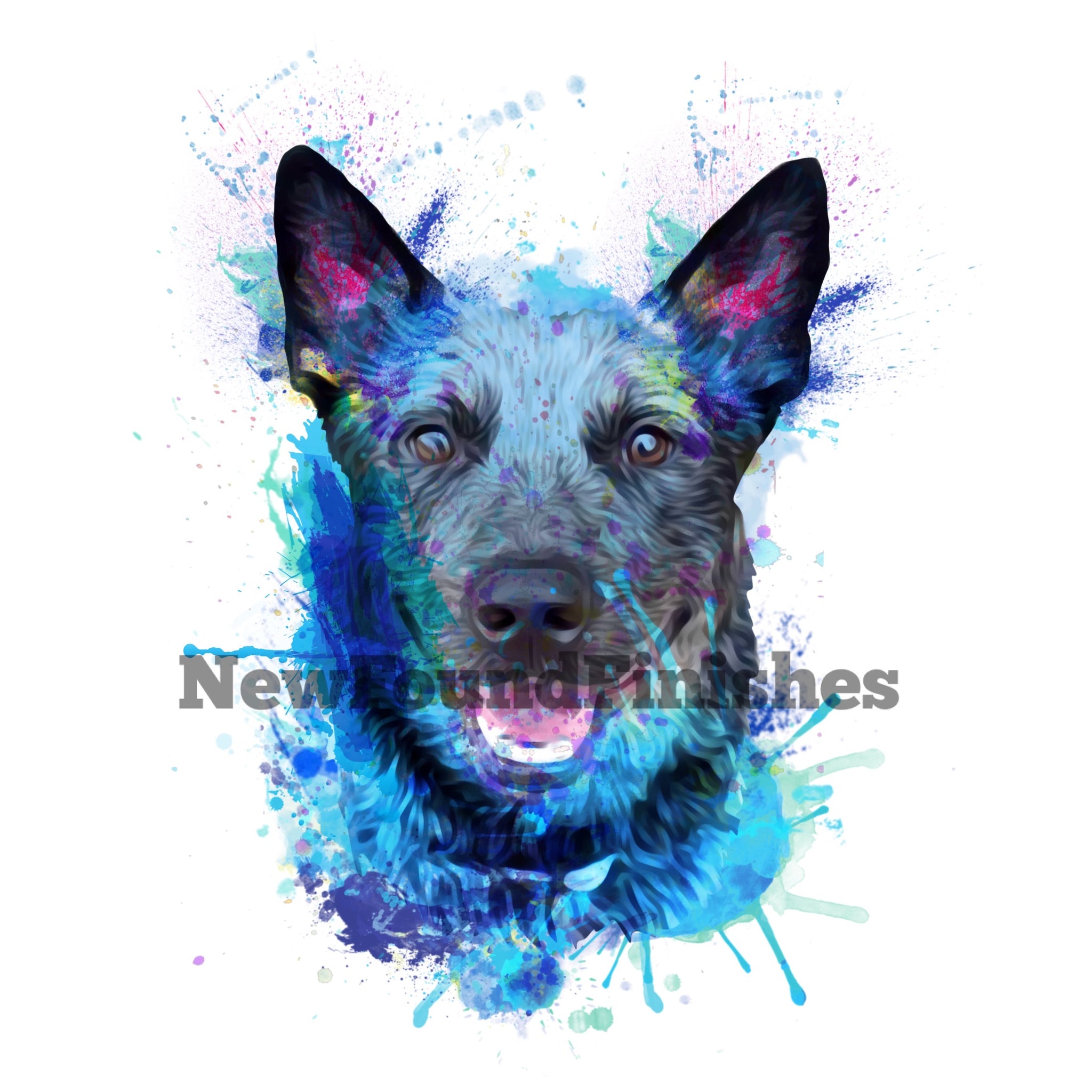 Watercolor heeler